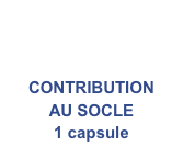 CONTRIBUTION
AU SOCLE
1 capsule